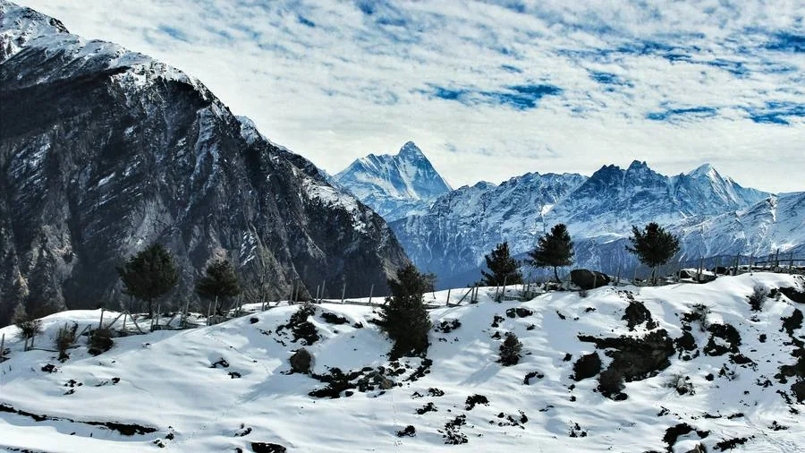 Auli Packages by TraveloHimalayas with hotel transport and Uttarakhand route support